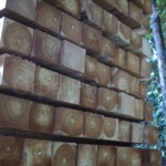 Teak Kereste istanbul Satış