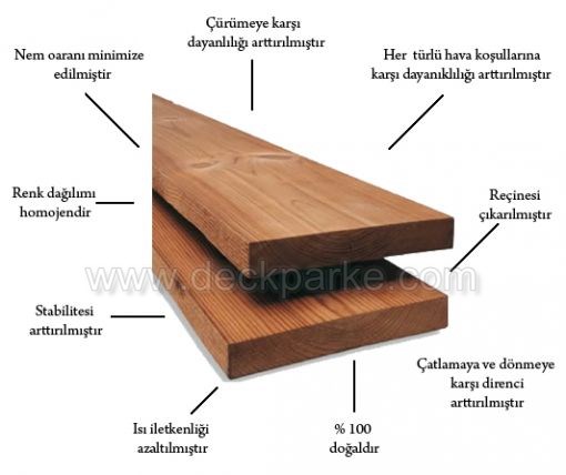dişbudak thermo wood özellikleri